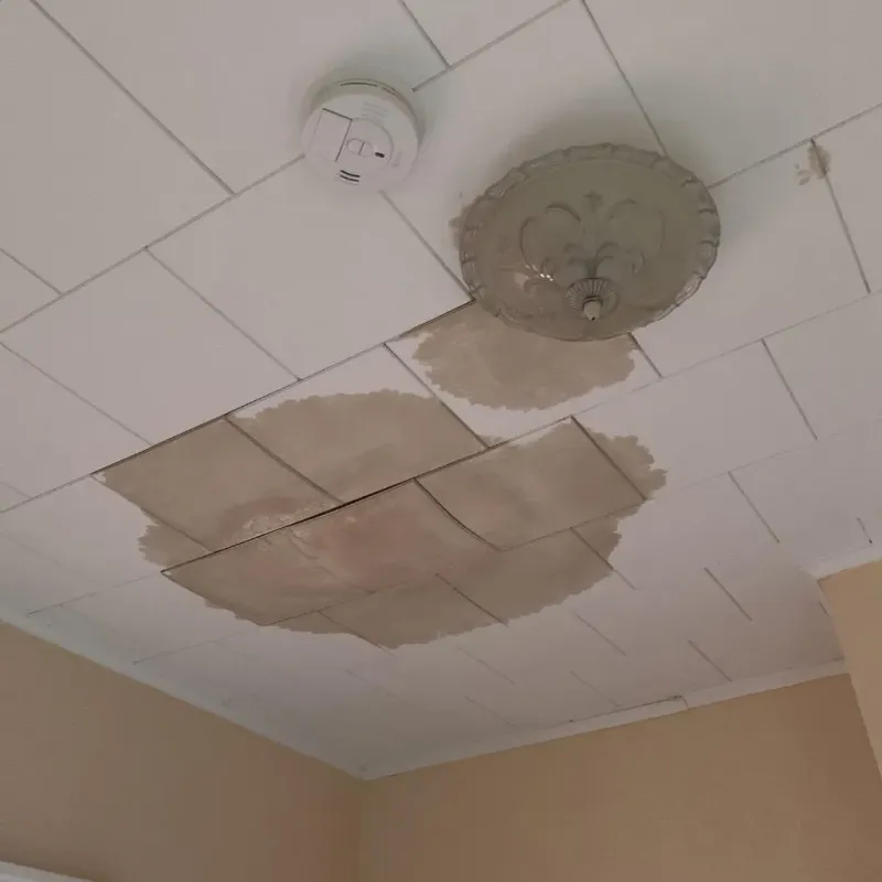 Ceiling Water Damage Repair in Friendship, WI