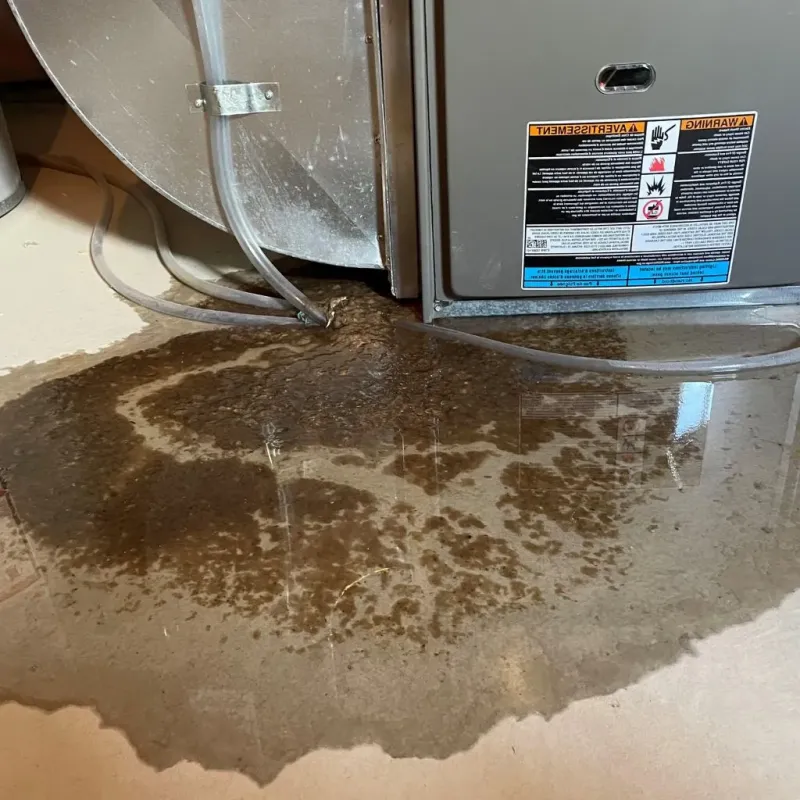 Pipe Burst and Leak Restoration in Friendship, WI